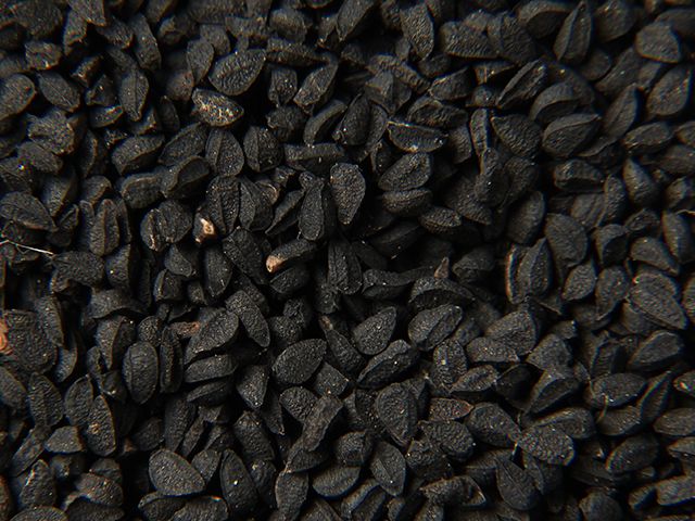 Organic black cumin
